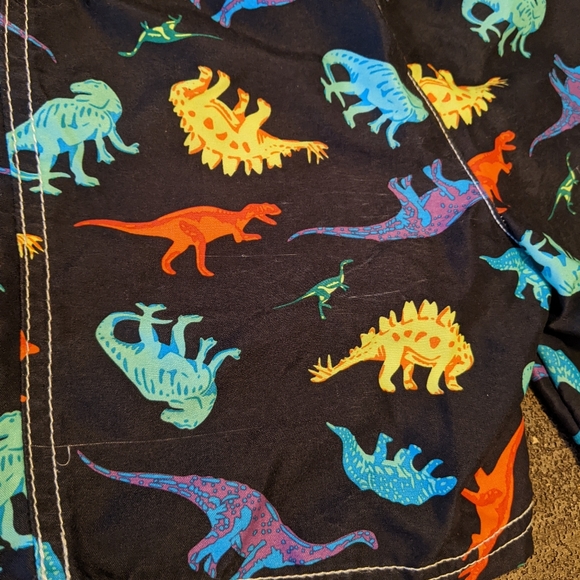 Toddler Boy Swim Trunks - Picture 3 of 4